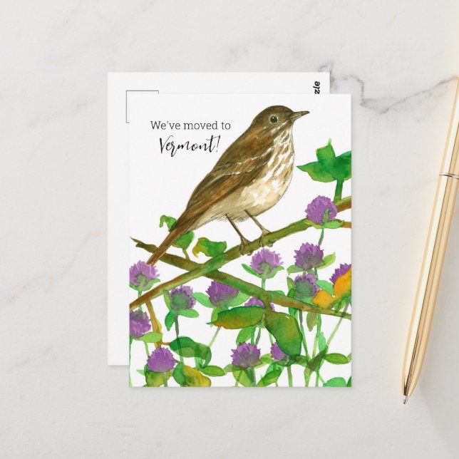 Vermont Hermit Thrush Clover Postkarte (Vorderseite/Rückseite Beispiel)
