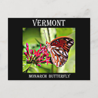 Vermont Monarch Butterfly Postkarte