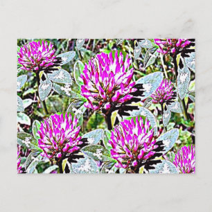 Vermont Red Clover Postkarte