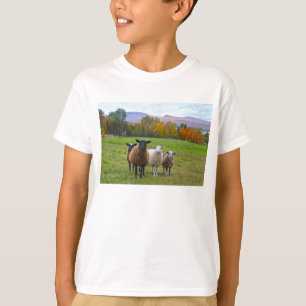 Vermont Sheep im Herbst T-Shirt