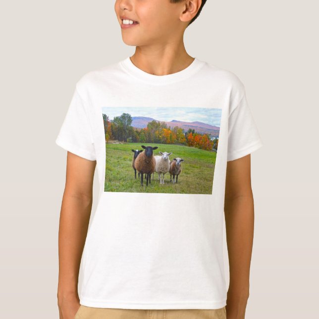 Vermont Sheep im Herbst T-Shirt (Vorderseite)