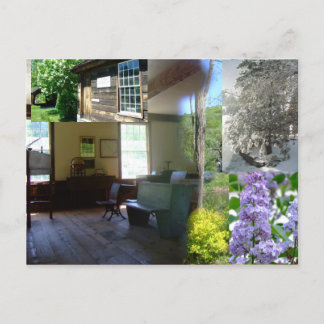 Vermont Spring Beauty Postkarte