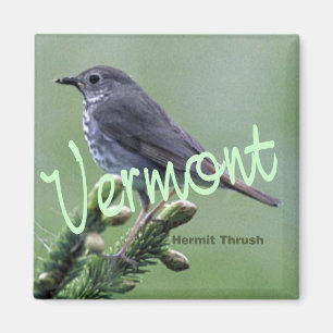 Vermont Staat Bird Hermit Thrush Kühlschrankmagnet Magnet