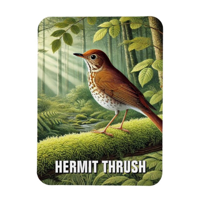 Vermont Staat Bird Hermit Thrush Magnet (Vertikal)