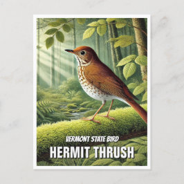 Vermont Staat Bird Hermit Thrush Postkarte