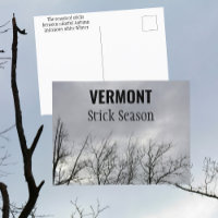 Vermont Stick Season New England Fotografie