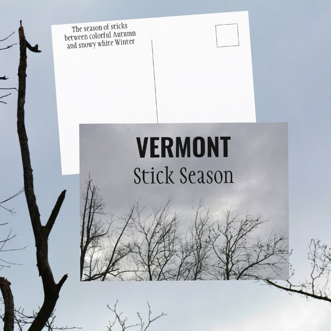 Vermont Stick Season New England Fotografie Postkarte (Von Creator hochgeladen)