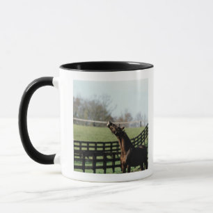 Vermont, USA 2 Tasse