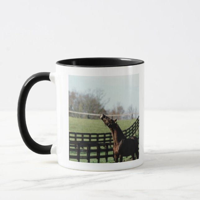 Vermont, USA 2 Tasse (Links)