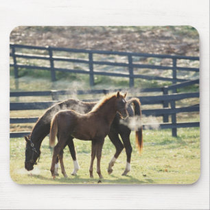 Vermont, USA Mousepad