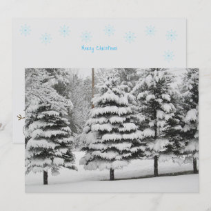 Vermonts Winterwunderland in B&W-Flachkarte Feiertagskarte