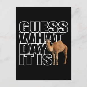 Lustige Kamel Poster Zazzle At
