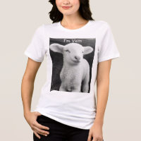 Vern das virale Lamm Cozy Emotional Energy 