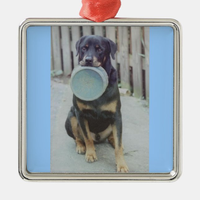 Vern Silbernes Ornament (Vorne)