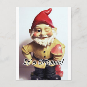 Veronica das Gnome Postkarte