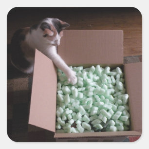 Verpacken von Katzenaufklebern Quadratischer Aufkleber