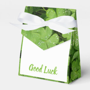 Verpackenbevorzugungskasten des viel Glückklees Geschenkschachtel