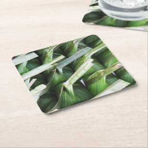 verpackte Bananenleaf-Packungen Rechteckiger Pappuntersetzer