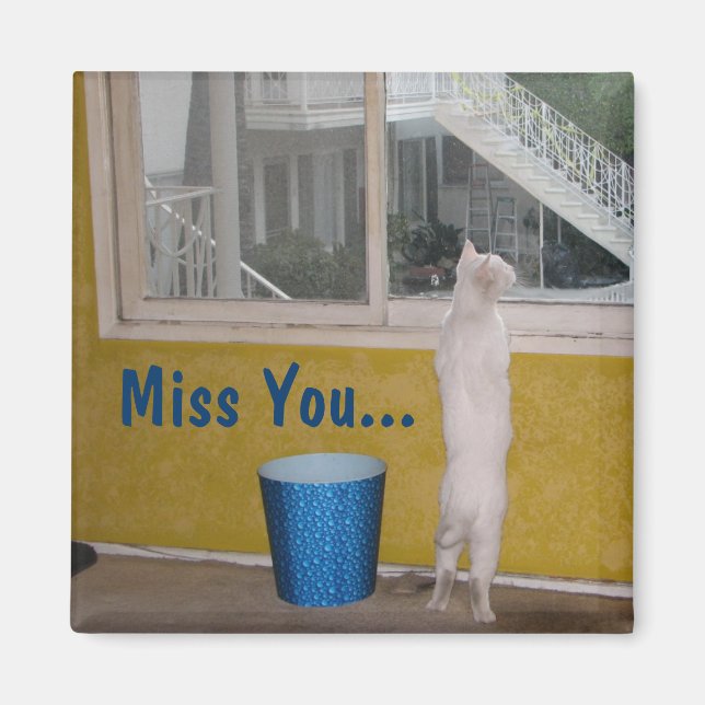 Verpassen Sie nicht... Magnet! Magnet (Vorne)