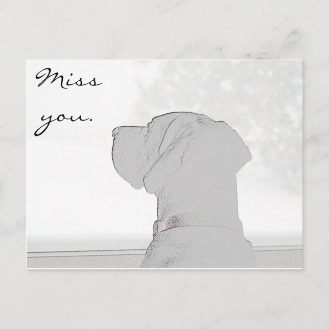 Verpassen Sie nicht. Postkarte (Vorderseite)