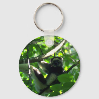 Verreaux Sifaka männlich in Baum Schlüsselanhänger