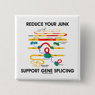 Verringern Sie Ihr Kram-Stützgen-Verstärken (RNS Button