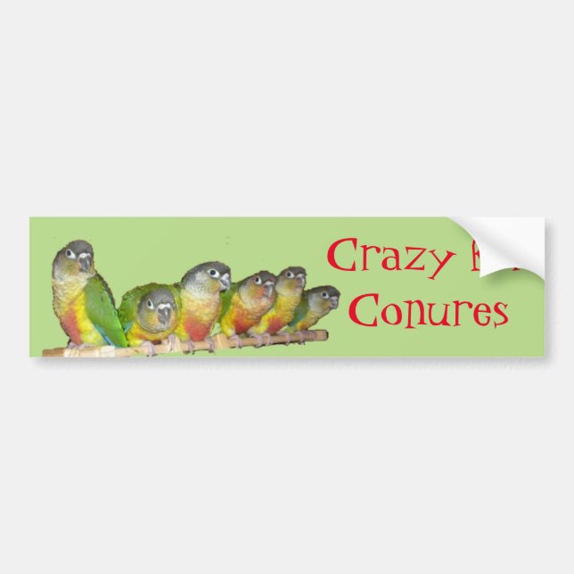 Verrückt für Conures! Autoaufkleber (Vorne)