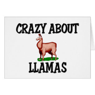 Verrückt über Lamas