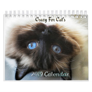 Verrückt über Wandkalender der Katzen 2019