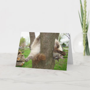 VERRÜCKTE CAT-VALENTINSGRUSS-KARTE FEIERTAGSKARTE