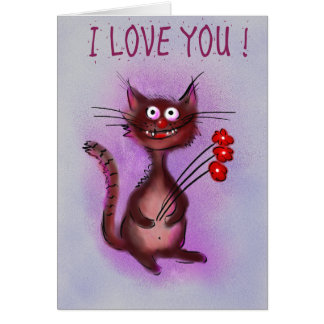 Verrückte Katzen-Liebe