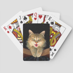 Verrückte Katzenmalerei - Süße originale Katzenkun Spielkarten