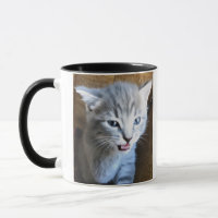 Verrückter Katzen-Typ. Katzenhumor. Katzen-Kaffeet