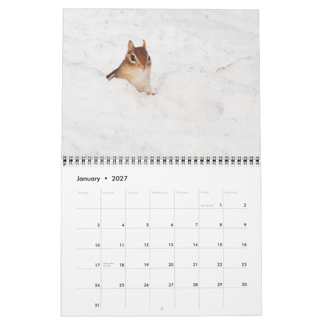 Verrückter niedlicher Kalender der Chipmunks-2013 (Jan 2027)