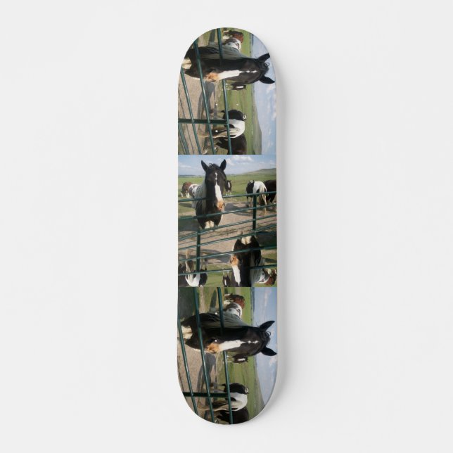 Verrücktes Pferd Sk8 Skateboard (Vorne)