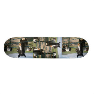 Verrücktes Pferd Sk8 Skateboard