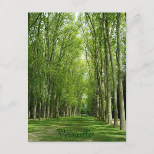 Versailles-Baum-Garten-romantischer Weg Frankreich Postkarte