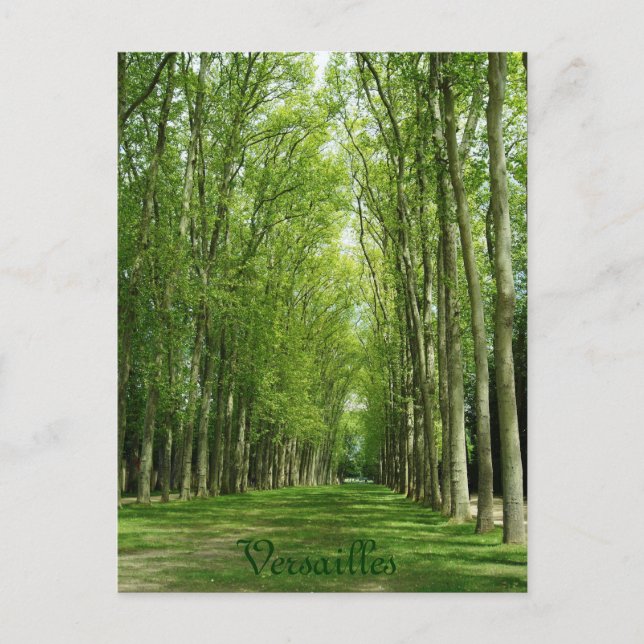 Versailles-Baum-Garten-romantischer Weg Frankreich Postkarte (Vorderseite)