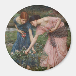 Versammlungs-YE-Rosenknospen, während YE kann Magnet