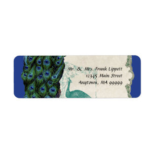 Verschickende Aufkleber - Vintager Pfau u. Federn