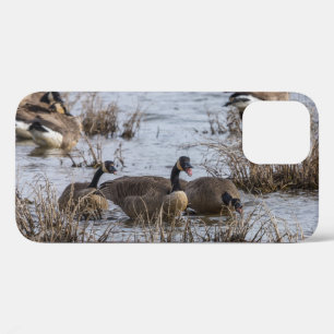 Verschieben in iPhone-Fällen Case-Mate iPhone Hülle