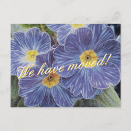 Verschieben von Postkarten mit blauer Blume