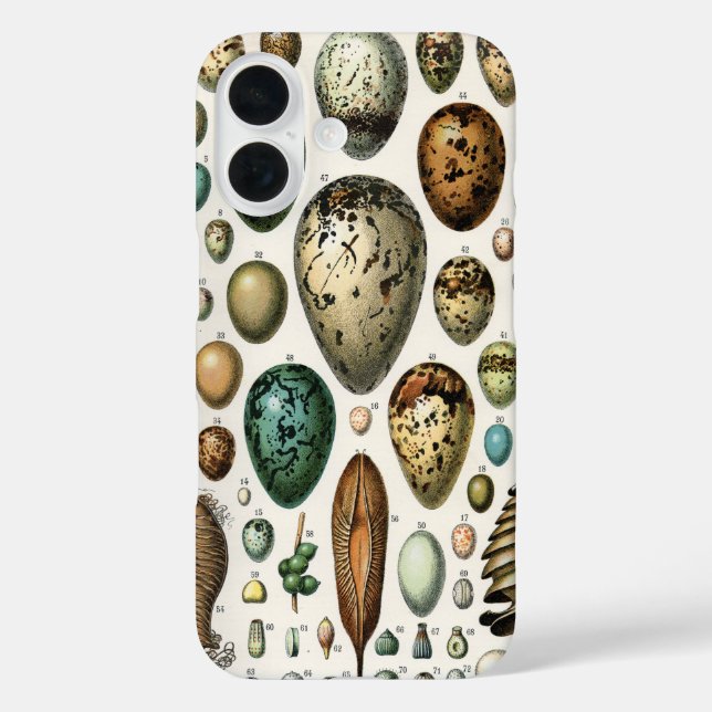 Verschiedene Arten der wissenschaftlichen Darstell Case-Mate iPhone Hülle (Rückseite)