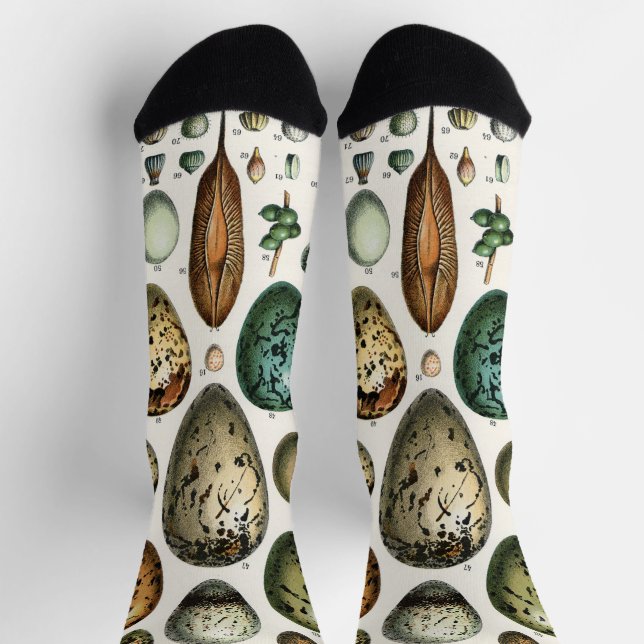 Verschiedene Arten der wissenschaftlichen Darstell Socken (Oben)