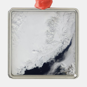 Verschiedene Arten des Treibeises Ornament Aus Metall