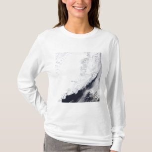 Verschiedene Arten des Treibeises T-Shirt