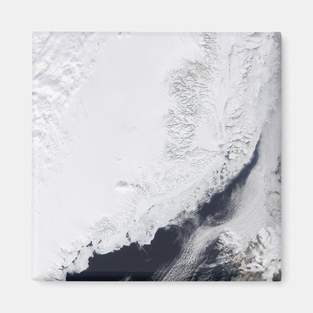 Verschiedene Arten von Meereis Magnet (Vorne)