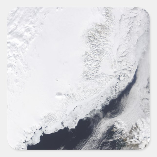 Verschiedene Arten von Meereis Quadratischer Aufkleber (Vorderseite)