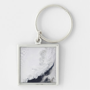 Verschiedene Arten von Meereis Schlüsselanhänger