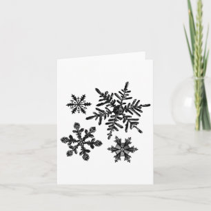Verschiedene Arten von Schneeflocken Snow Crystal Karte